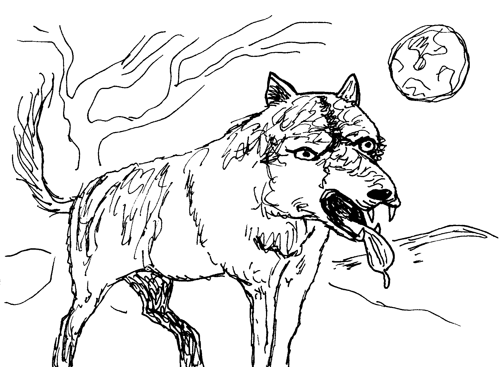 Zavilý vlk větří kořist